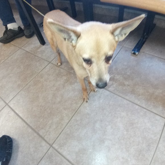 @luckygirl1609 Come & join Everyone is welcome💖 - Picture 8 of 16